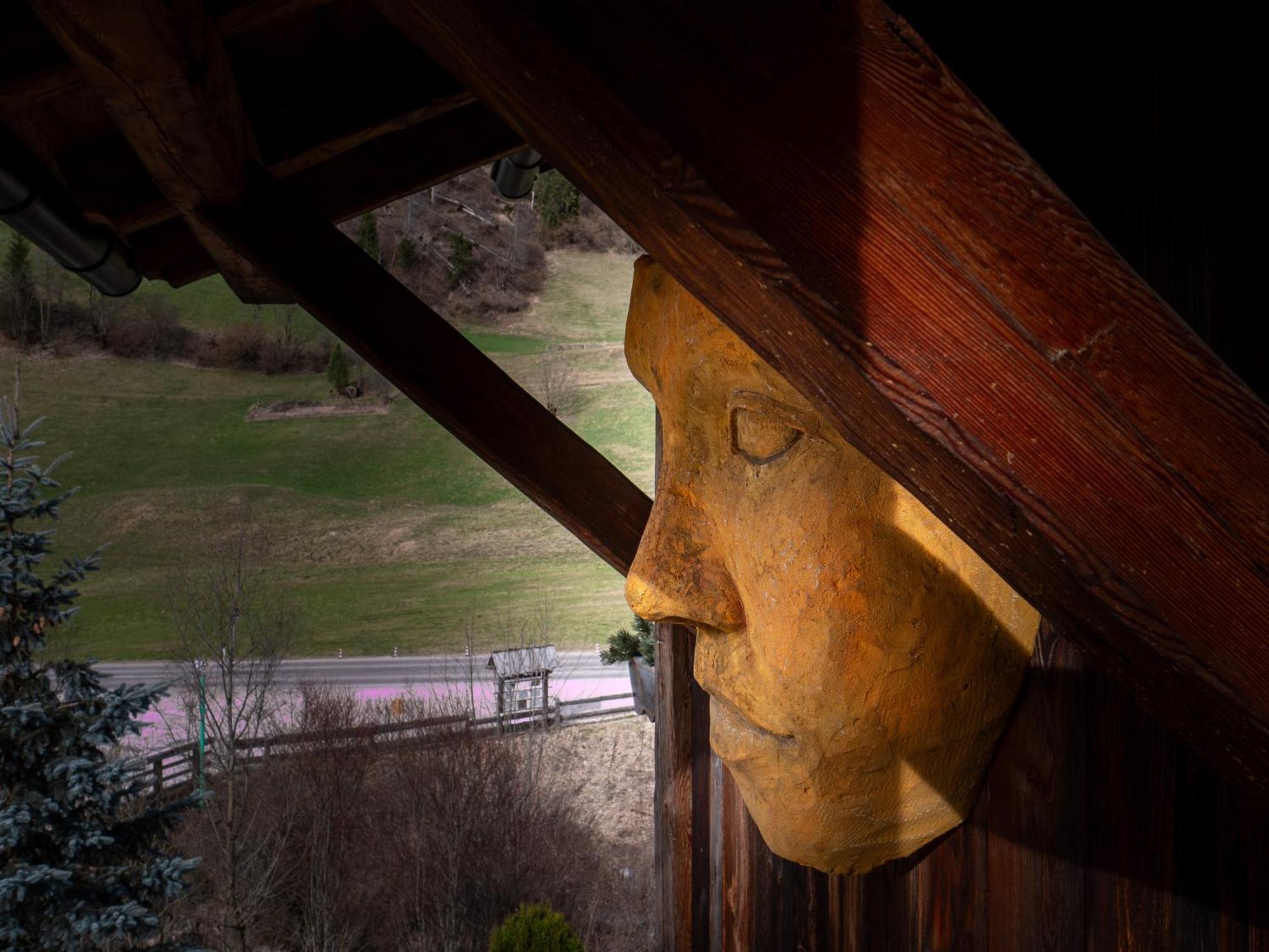 Alpine Mountain Chalet San Vigilio Di Marebbe Luaran gambar
