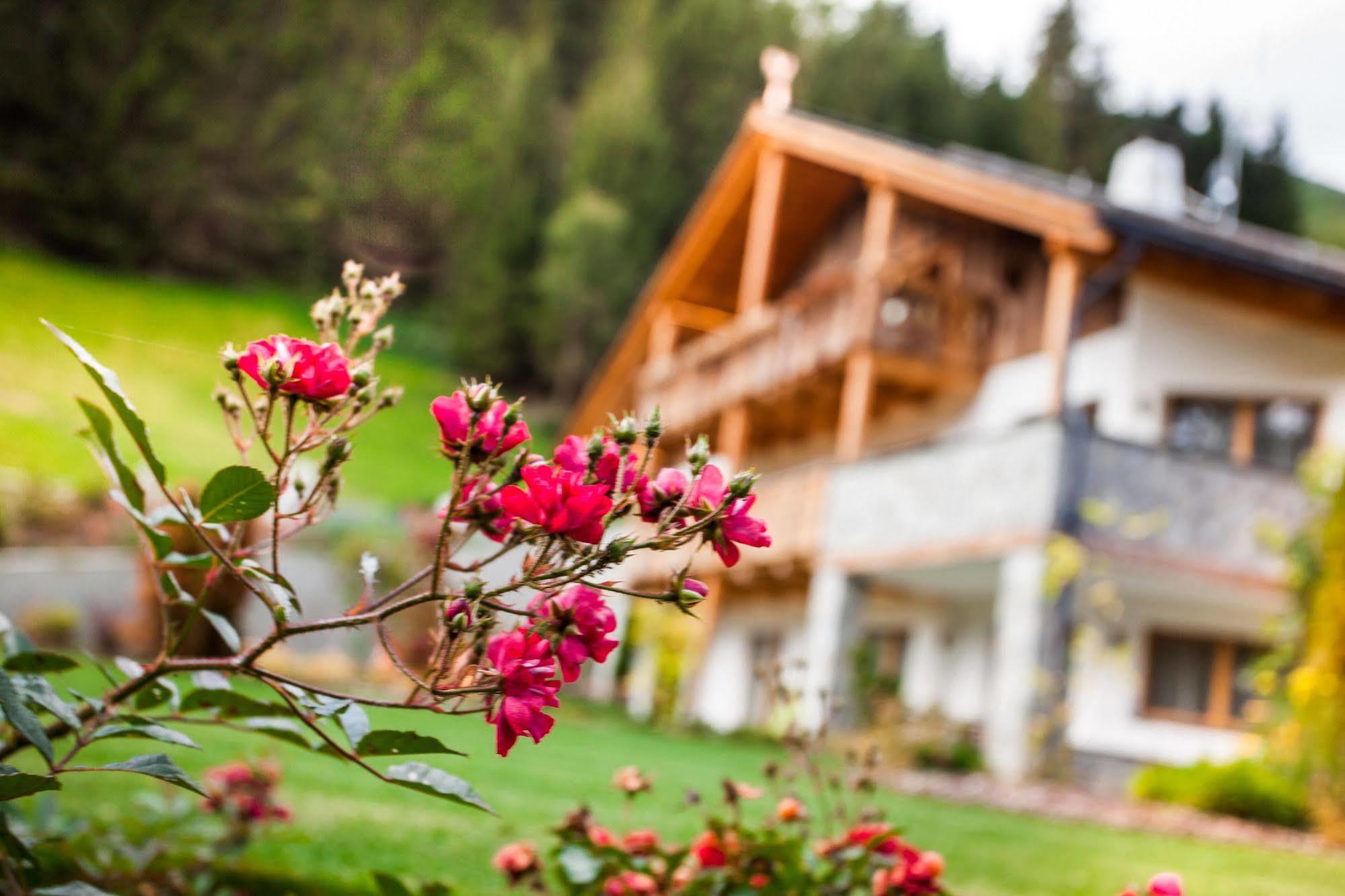 Alpine Mountain Chalet San Vigilio Di Marebbe Luaran gambar